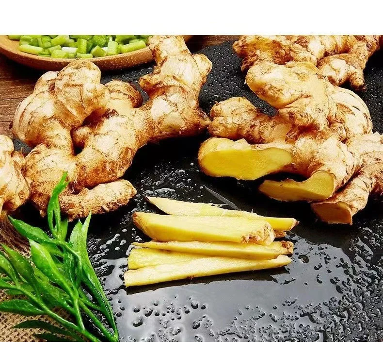 Fresh Ginger Origin Vietnam Best Quality Spices All Kinds Bulk Fresh Ginger Organic Ginger Fresh Ginger Fresh Vegetable Conventional Ginger for Wholesale