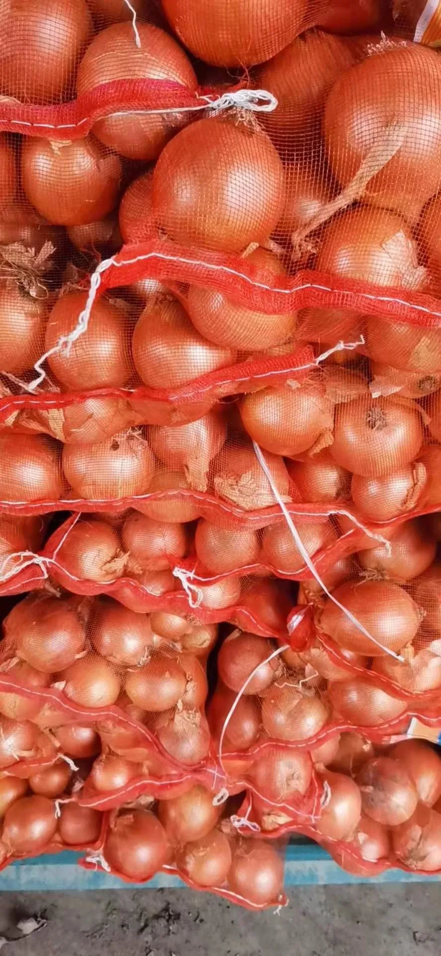 2021 New Crop Red Onion China Origin Top Quality Low Price Plant Direct Supply Size 5-8cm and Peeled Yellow Onion, Dehydrated White Onion From China Low Price