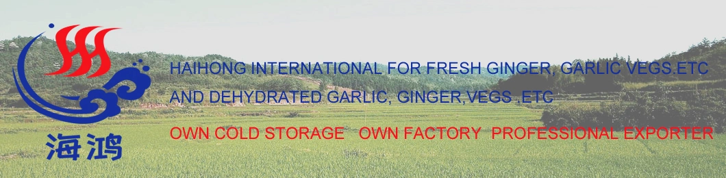 Hot Sale Stock 18 Crop Grade a Garlic Flakes Without Root Best Price