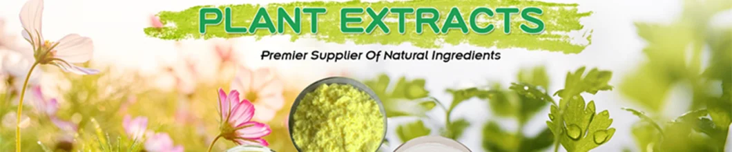 Hot Sell Natural Plant Extract High Quality Garlic Extract Alliin Powder