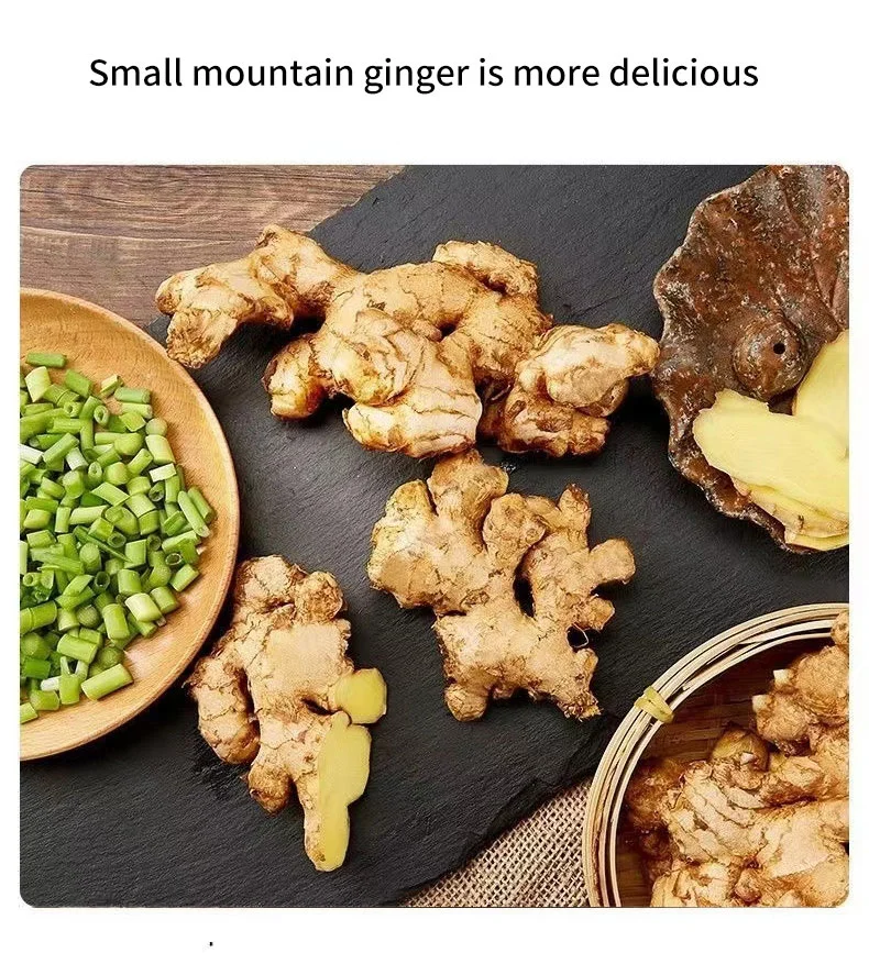 Ginger Fresh Ginger Export Organic Ginger Fresh Ginger Fresh Vegetable Conventional Ginger with High Quality