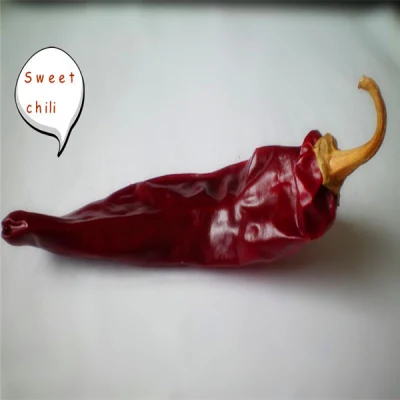 Medium Hot Dried Guajillo Chili 12% Moisture Red Chile Peppers 10000shu