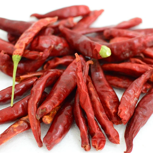 Export Chinese High Quality Natural Dried Red Chili Pepper with Per Ton Price