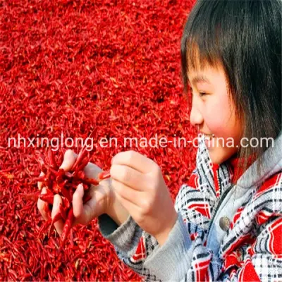 Natural Air Dried 100% Pure Dry Red Chili