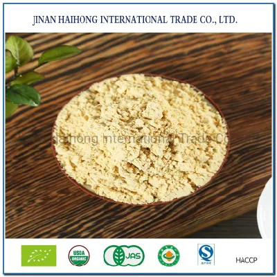 Bulk Sale Food High-Quality Organic Ginger Powder