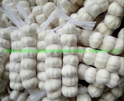 China White Garlic, Pure White Garlic, Normal White Garlic, Solo White Garlic, China White Garlic, Dehydrated Garlic and Fried Garlic From Factory Supplier