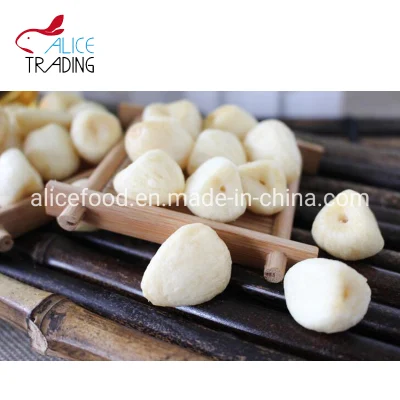 Vacuum Fried Foods Vf Garlic