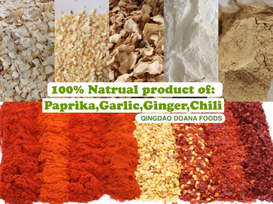 ISO HACCP Factory Wholesale Cheap Price Dried Red Chilli Powder Hot Spicy Chili Pepper