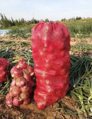 2021 New Crop Dehydrated Onion with International Certification