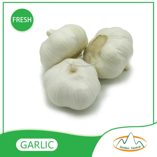 Import Ajo Granulado Chino Garlic Granules for Home Cooking