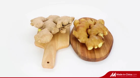 High Quality Air Dried Ginger Fresh Vegetable Fresh Ginger Factory Supplier From China