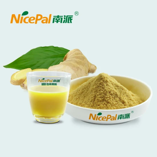 100% Natural Fruit Powder Top Grade Ginger Extract Powder Ginger Powder