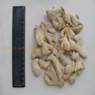 Manufacturer Specialized in Good Taste Dried Ginger and Dried Ginger Powder