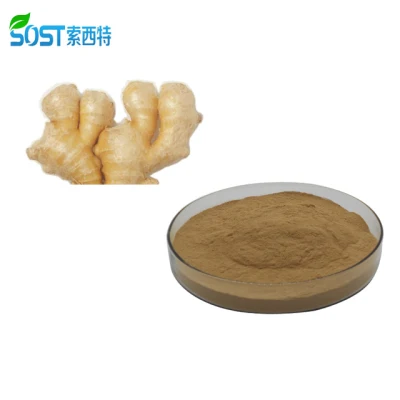 SOST Super Quality Wholesale EU Organic Ginger Extract Powder