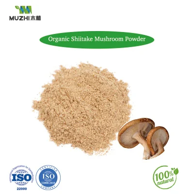 High Quality Fine Powder Raw Ground Ginger Root Powder, Ginger Powder