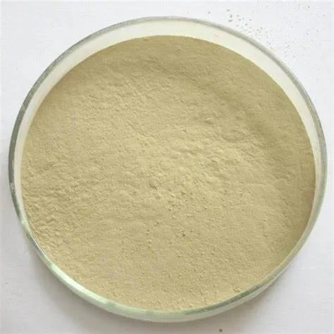 100% Purity Nature Ginger Extract Gingerol 2%, 10% (Water-Soluble) Ginger Powder